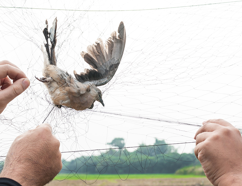 Rectangle 42643778 (13)