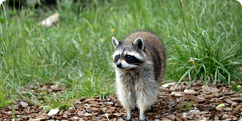 Rectangle 42643781 (1)