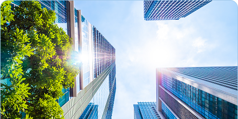 Rectangle 42643781 (10)