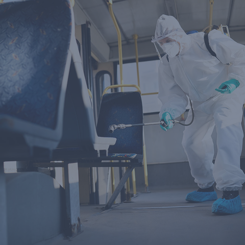 Rectangle 42643781 (19)