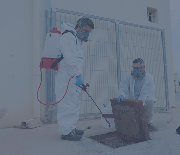 Rectangle 42643781 (23)