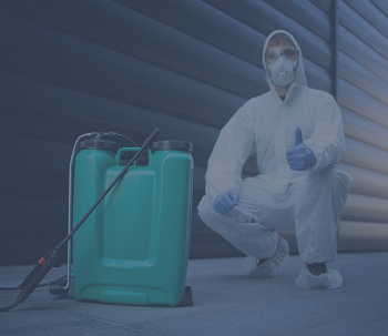 Rectangle 42643781 (24)