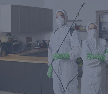 Rectangle 42643781 (26)